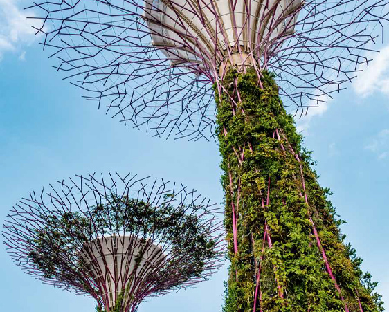 SINGAPORE INSPIRED TREE OF LIFE